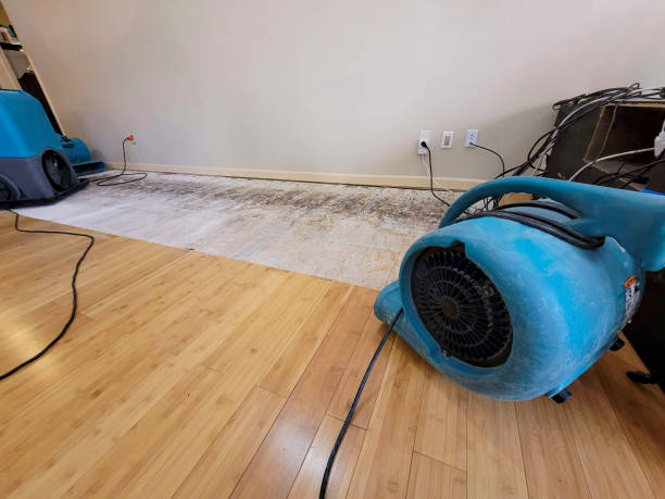 Professional Sewage Cleanup technician working in South El Monte, CA